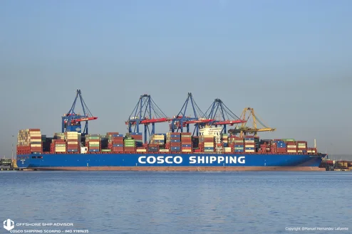 https://d1g8nvqq987mha.cloudfront.net/review/71affcc8645646fc86fa37cbbf4054f2/494-494/cosco shipping scorpio_01 mst.jpg.webp